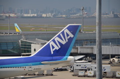 大空へ！