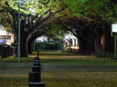 夜の外苑前