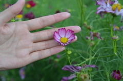 添えられた手のひら