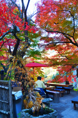 紅葉の中の茶屋