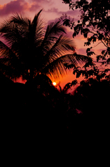 南国に沈む夕日