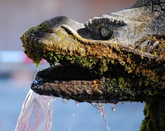 霧島神宮 御手洗2