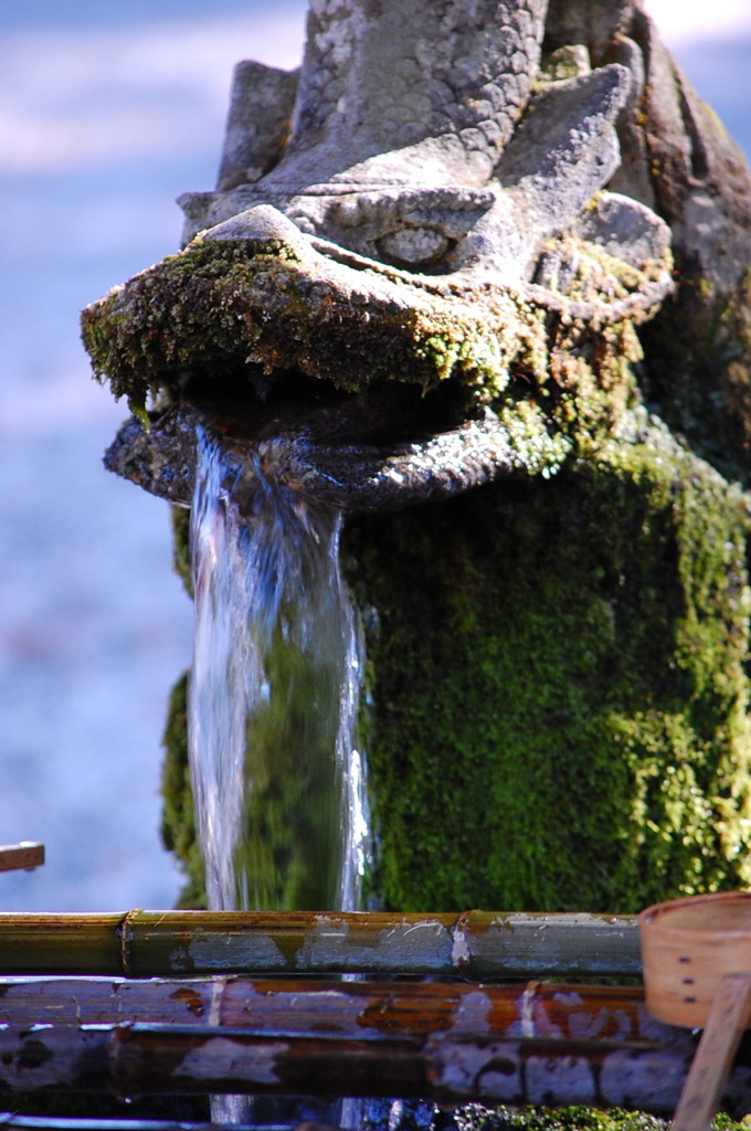 霧島神宮 御手洗1