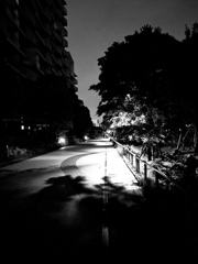 闇夜を照らす光