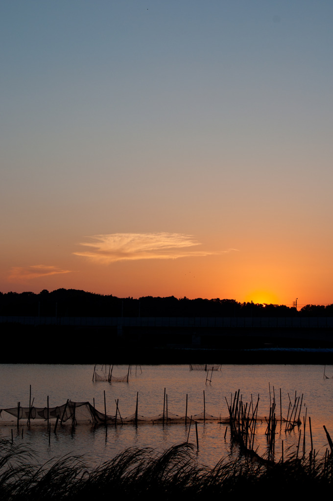 沼の夕暮れ