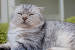 眠さ限界