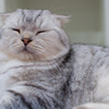 眠さ限界