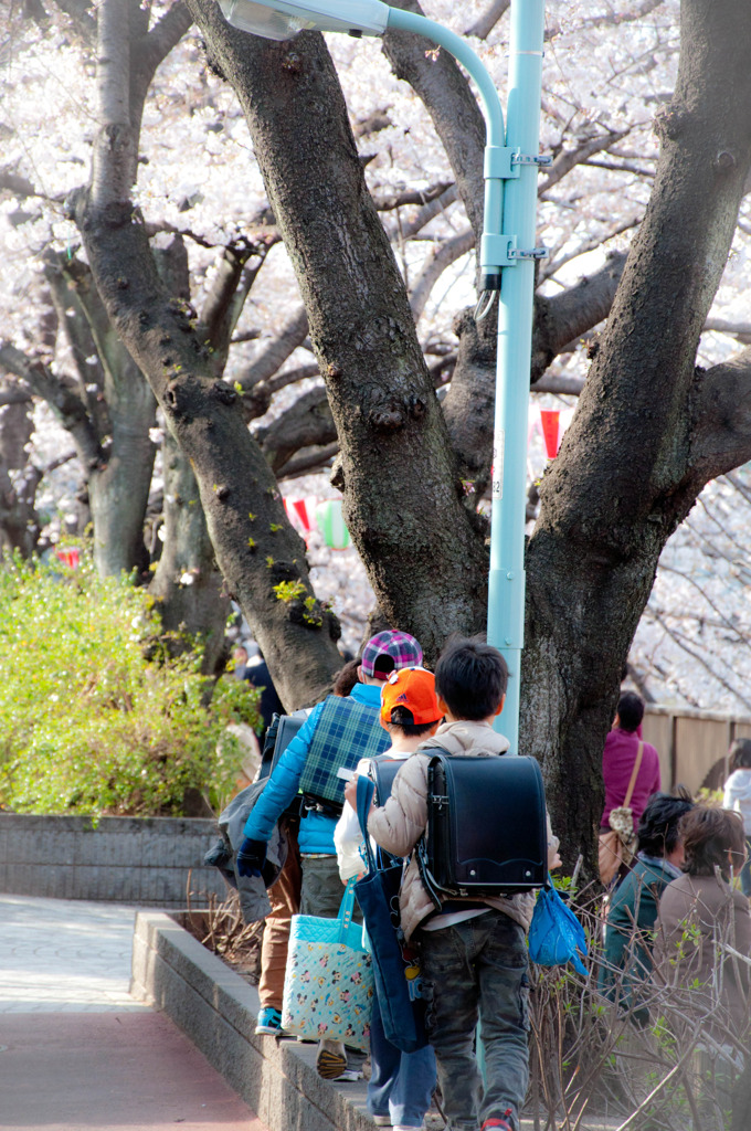 いつかの思い出