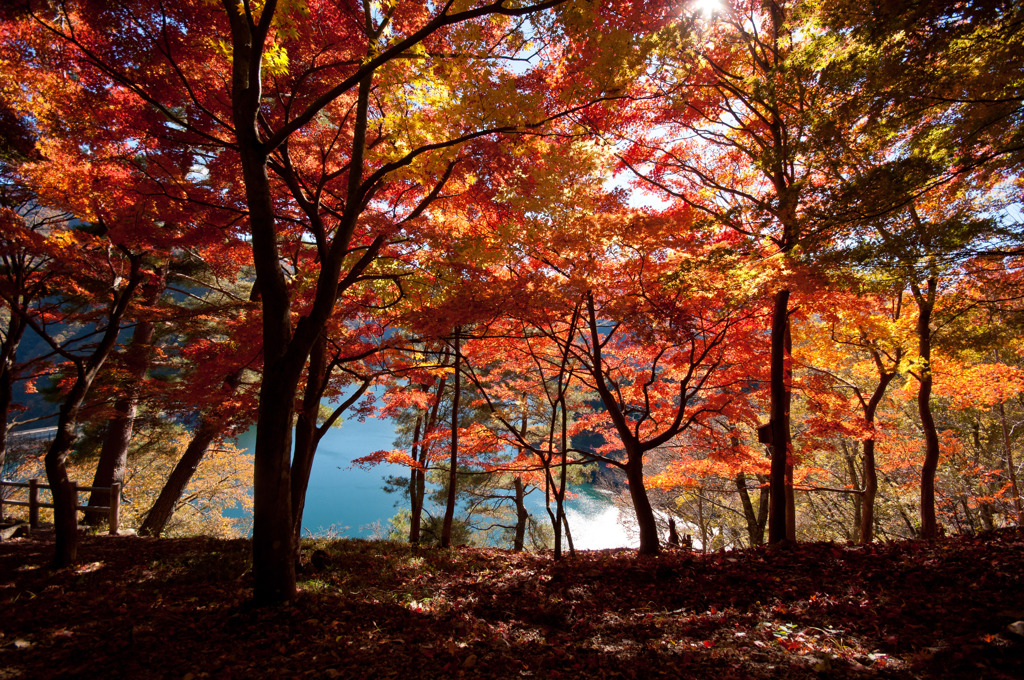 湖と紅葉と