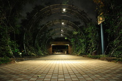 跡