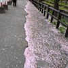 花道