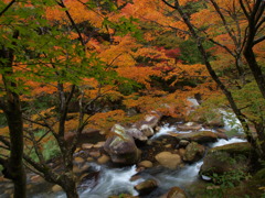 昇仙峡の秋