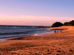 志賀島_05