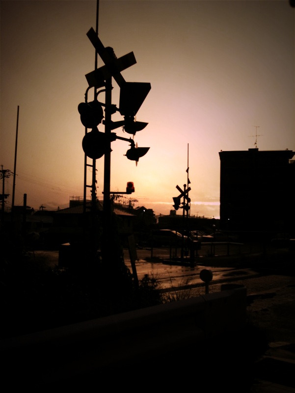 ToyCamera_19