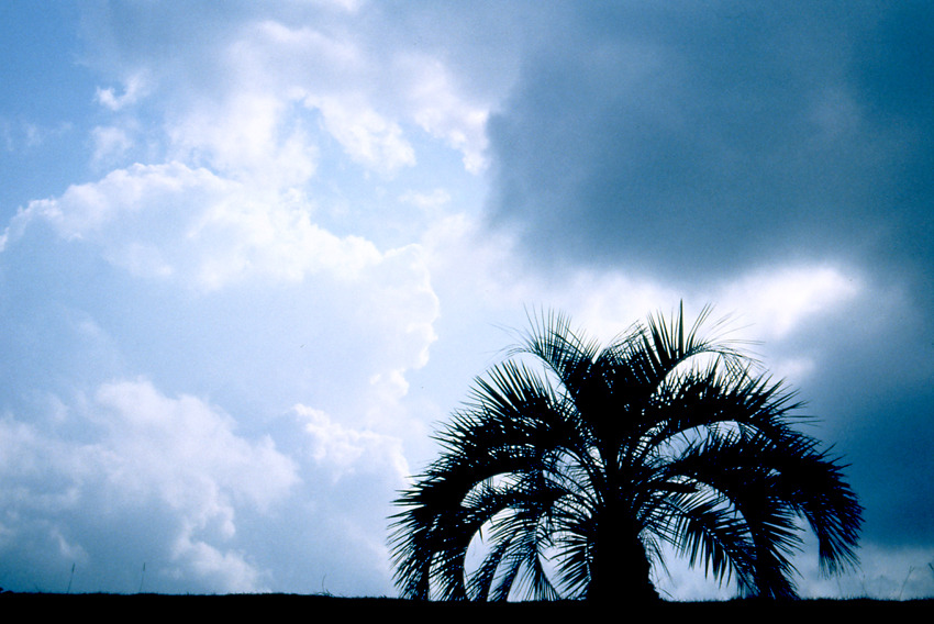 空-irodori-5