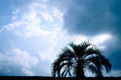 空-irodori-5