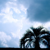 空-irodori-5