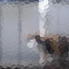 R0021911