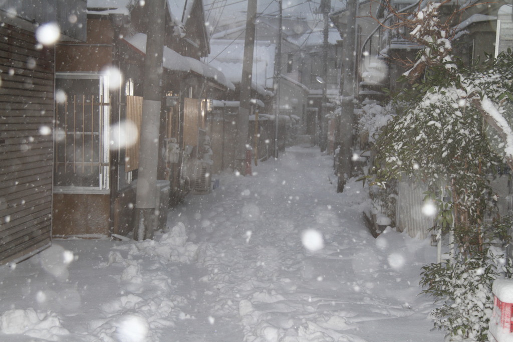 Snow