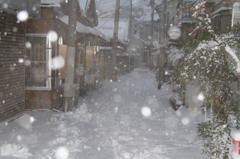 Snow