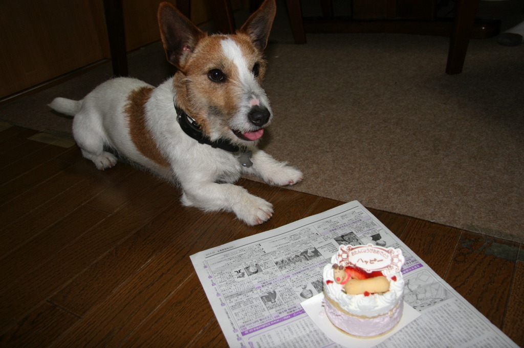 誕生日