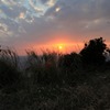 夕日