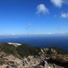 新東京百景