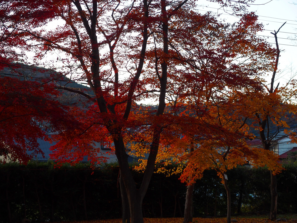 もうすぐ夕暮れ