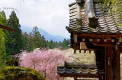 寺門からの眺め