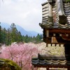 寺門からの眺め