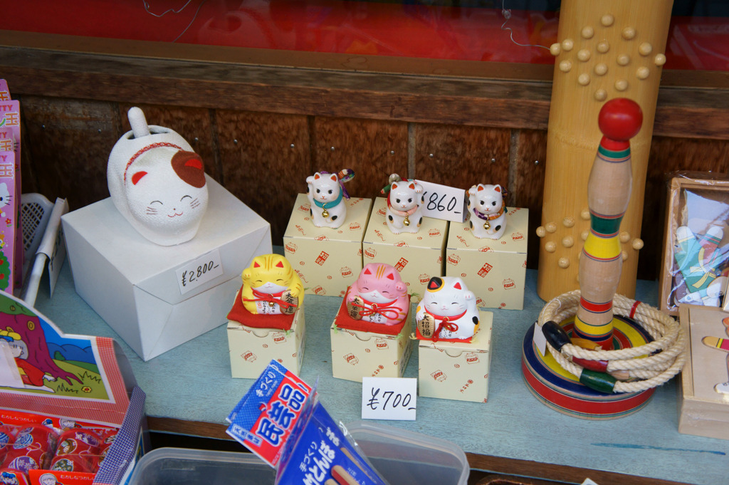 小動物