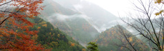 雨の寸又峡