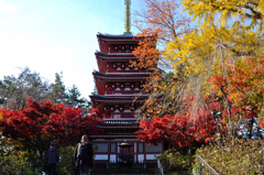 五十の塔