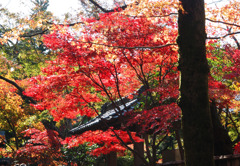 門と紅葉