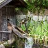 水の街郡上八幡