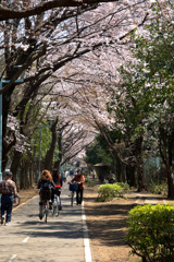 春の日差しの中２