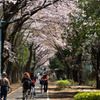 春の日差しの中２