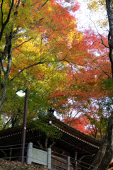 薄暮の香嵐渓