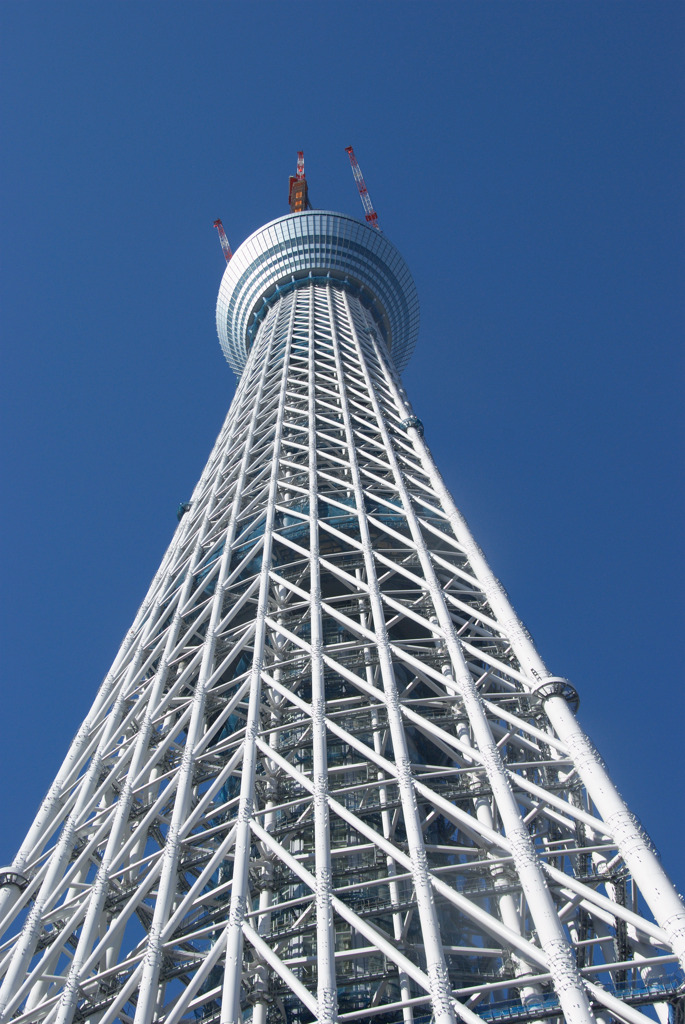 首に注意