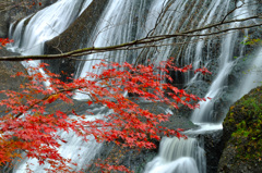 滝と紅葉