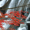 滝と紅葉