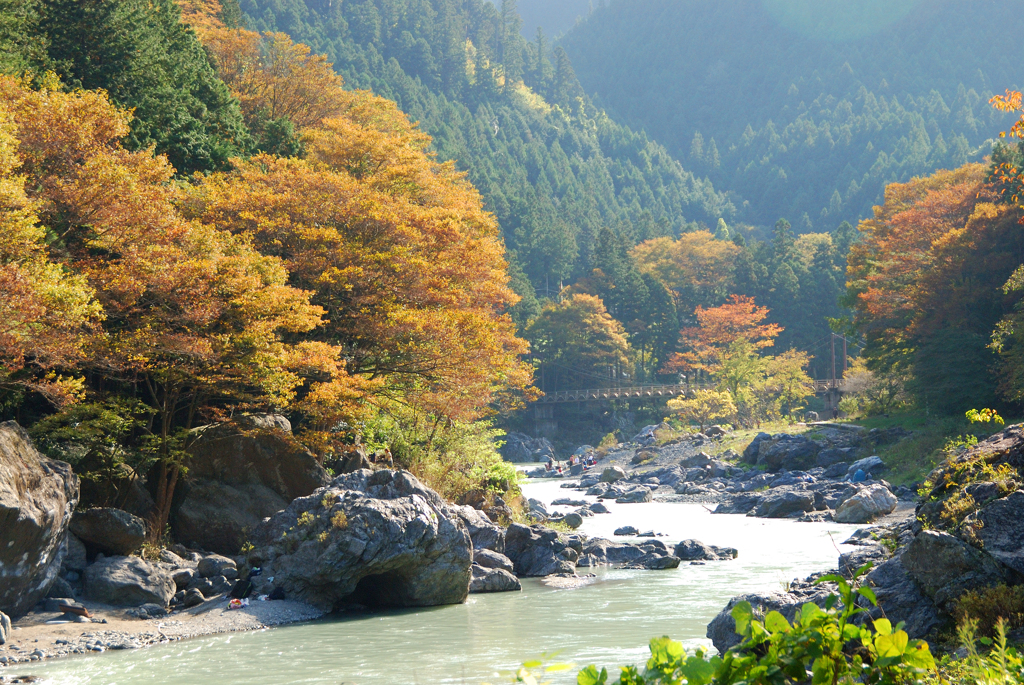多摩川