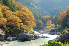 多摩川