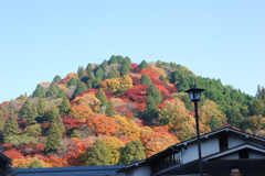 カラフルマウンテン