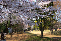広場を包む