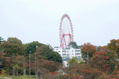 観覧車と紅葉