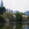 御苑からの風景
