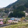 里山の春