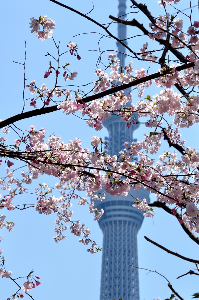 今は主役