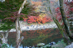 川面に紅葉